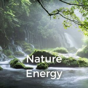 Nature Energy