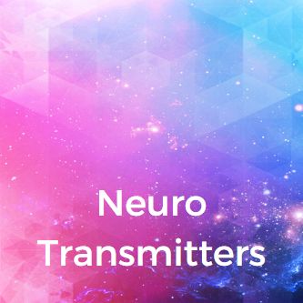 Neuro Transmitters