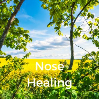 Nose Healing