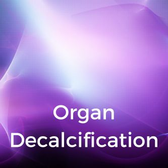 Organ Decalcification