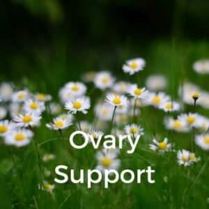 Ovary Support
