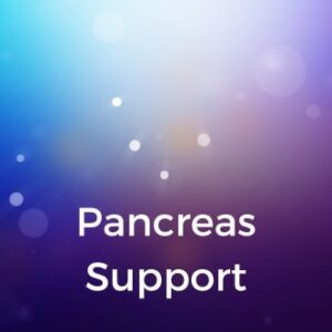 Pancreas Support