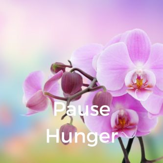 Pause Hunger