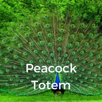 Peacock Totem