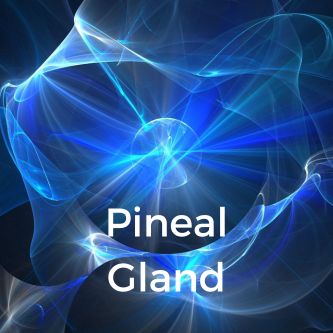 Pineal Gland