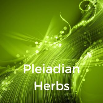Pleiadian Herbs