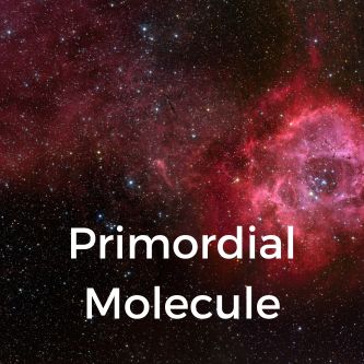 Primordial Molecule
