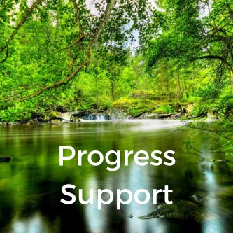 Progress Support