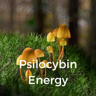 Psilocybin Energy