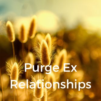 Purge Ex Relationships