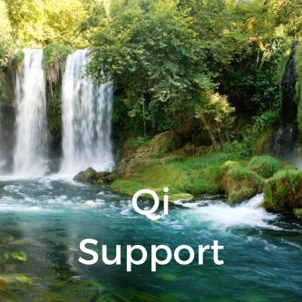 Qi Support