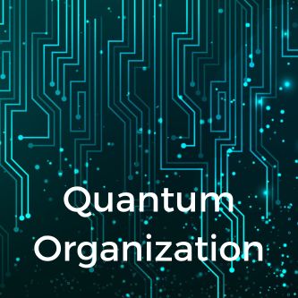 Quantum Organization