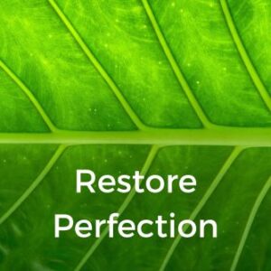 Restore Perfection