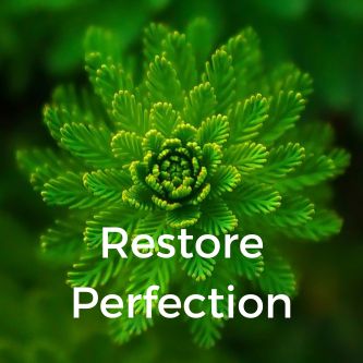 Restore Perfection