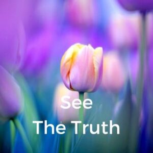 See The Truth