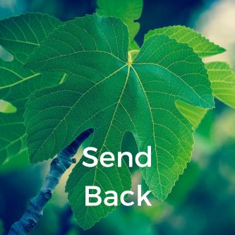 Send Back