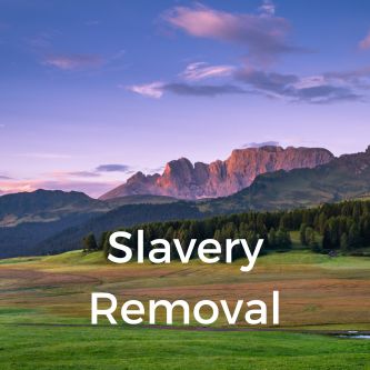 Slavery Removal