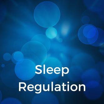 Sleep Regulation