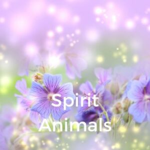 Spirit Animals