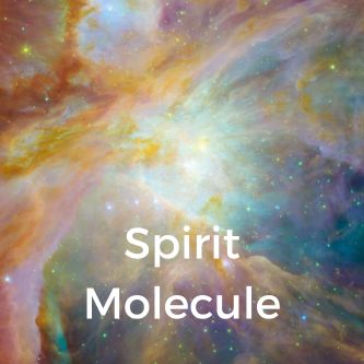 Spirit Molecule