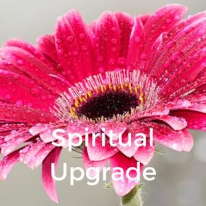 Spiritual Upgrade