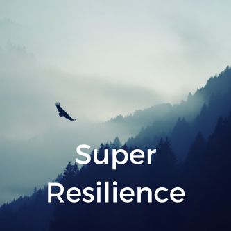 Super Resilience
