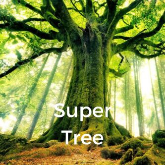 Super Tree