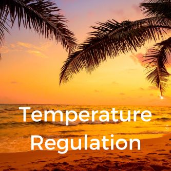 Temperature Regulation