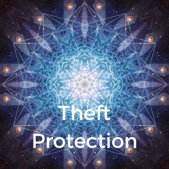 Theft Protection