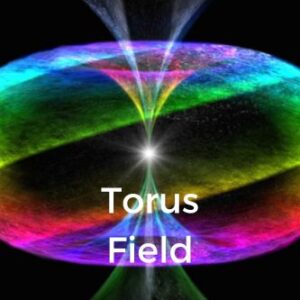 Torus Field