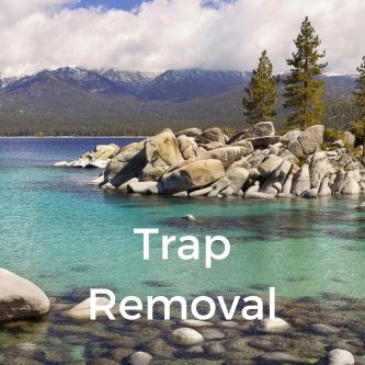 Trap Removal