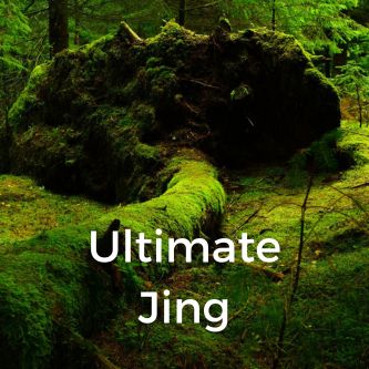 Ultimate Jing