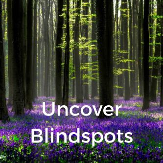 Uncover Blindspots