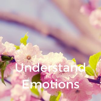 Understand Emotions