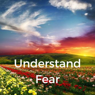 Understand Fear