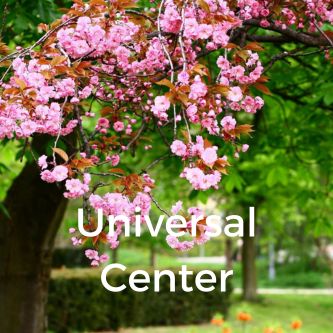 Universal Center