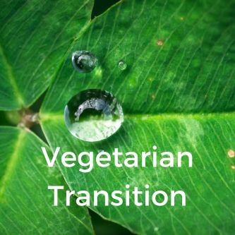 Vegetarian Transition