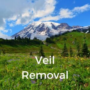 Veil Removal