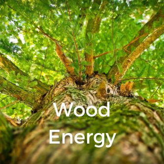 Wood Energy